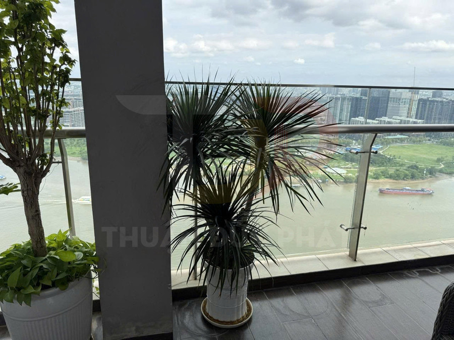 Chậu cây cảnh đặt trên ban công chung cư cao tầng nhìn ra sông và khu đô thị hiện đại